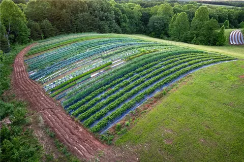 Other - 498 Raines Rd, Mountain Rest, SC 29664 photo 9 of 25