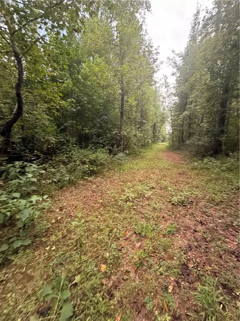 560 Return Church Rd, Seneca, SC 29678 photo 22
