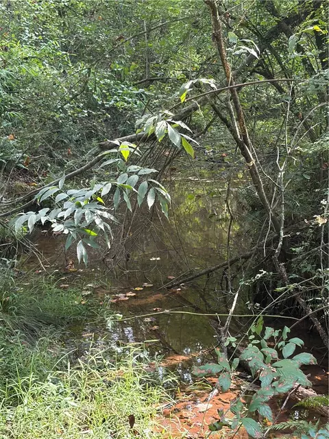 560 Return Church Rd, Seneca, SC 29678 photo 29