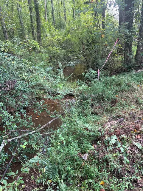 560 Return Church Rd, Seneca, SC 29678 photo 31