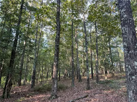 2374 Maw Bridge Rd, Central, SC 29630 photo 5
