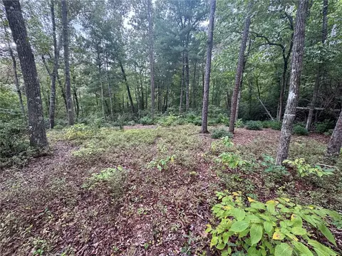 APT s46 Cliffs Falls Parkway, Salem, SC 29676