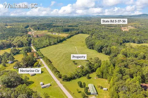 104 Nectarine Cir, Walhalla, SC 29691 photo 6