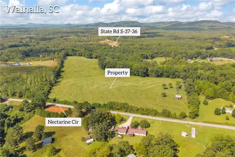 104 Nectarine Cir, Walhalla, SC 29691 photo 4