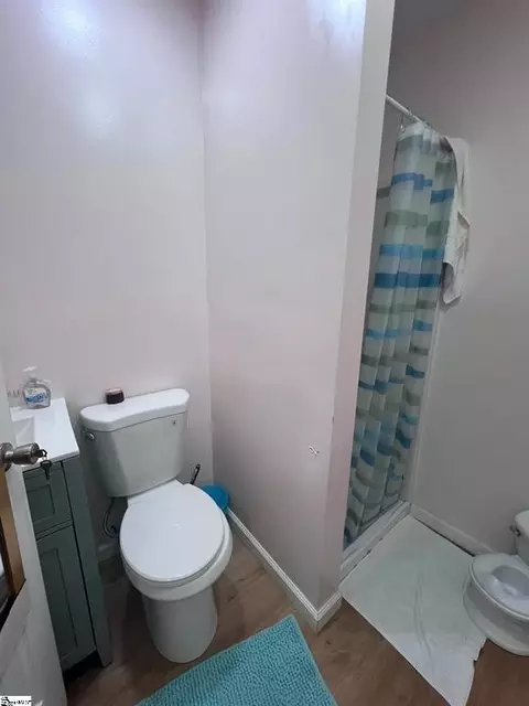 Bath - 217 Old River Rd, Pelzer, SC 29669 photo 3 of 3