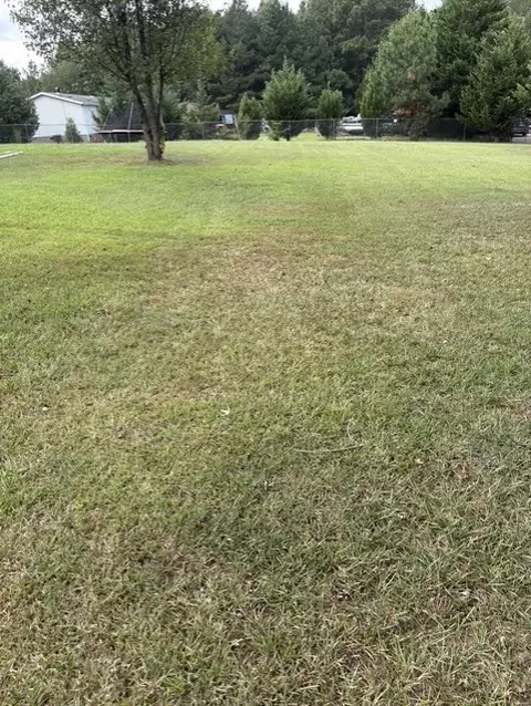 6933 Midway Rd, Williamston, SC 29697 photo 5