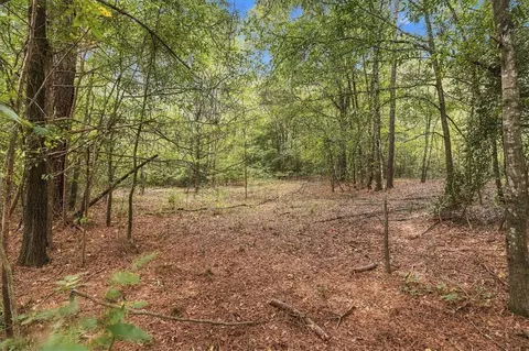 1008 Cherry Street Ext, Pendleton, SC 29670 photo 4