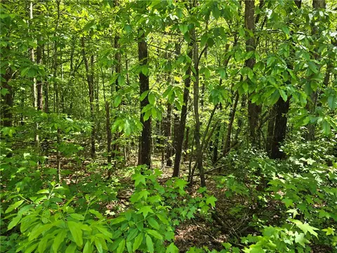 10 Acres Miller Rd, Westminster, SC 29693 photo 3