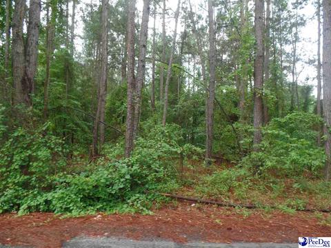 Palmetto Dr - Lot 49, Hartsville, SC 29550