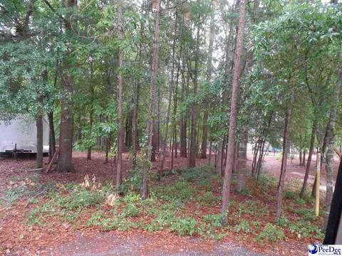 Palmetto Dr - Lot 42, Hartsville, SC 29550