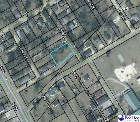 tbd First St, Darlington, SC 29532