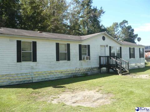 20 Easter Ln, Cades, SC 29518 photo 1