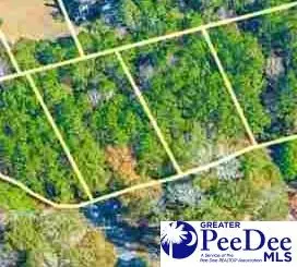 lot55 Country Club Rd, Darlington, SC 29532