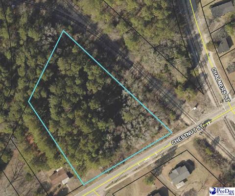 tbd Chestnut St, Darlington, SC 29532