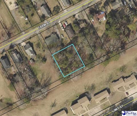 tbd Farm St, Darlington, SC 29532