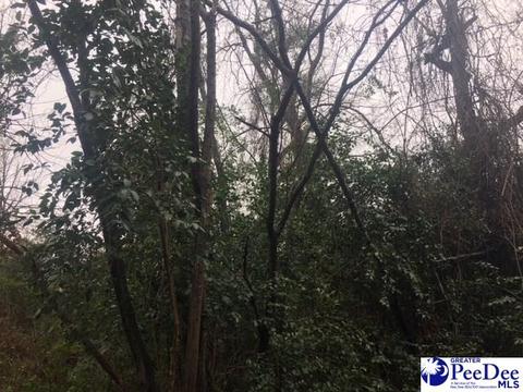 3636 W Forest Lk, Florence, SC 29501