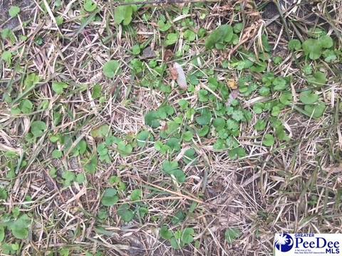 3632 W Forest Lake Dr, Florence, SC 29501