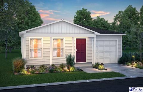 1020 E Macree Ter, Florence, SC 29505 photo 1