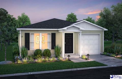 1010 E Macree Ter, Florence, SC 29505 photo 1
