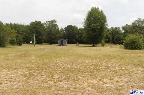 92 Sydneys Loop, Kingstree, SC 29556 photo 1