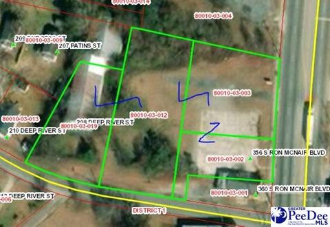 356 S Ron Mcnair Blvd, Lake City, SC 29560