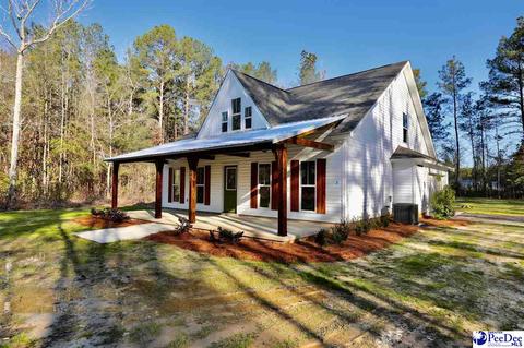 2907 Mcdaniel Rd, Effingham, SC 29541 photo 1