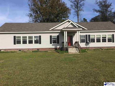 665 E Lynches River Rd, Lamar, SC 29069 photo 1