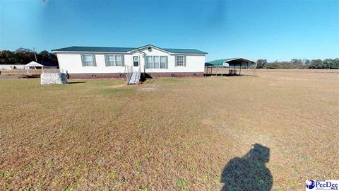 2948 Jeffords Rd, Lamar, SC 29069 photo 1