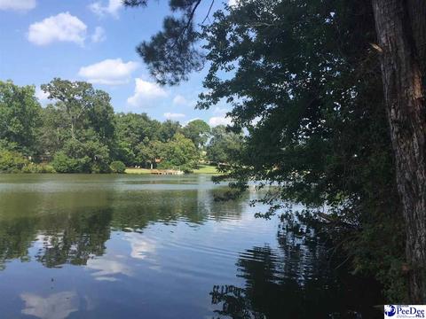 272 Timberlake Dr, Florence, SC 29501 photo 1