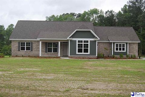 1083 Mclaughlin Rd, Effingham, SC 29541 photo 1