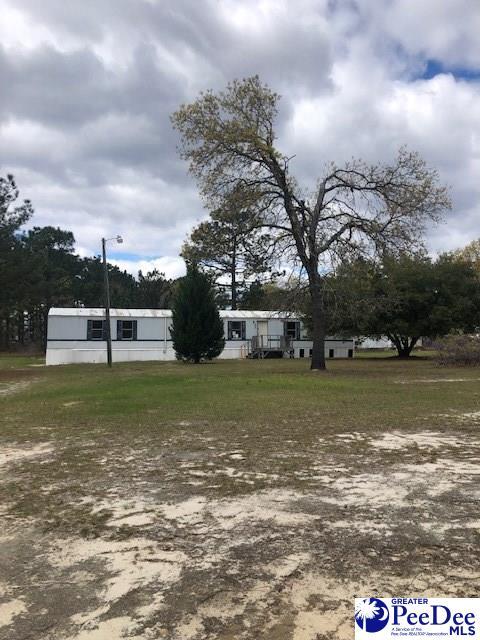 226 Ouslevdale Rd, Patrick, SC 29584 photo 1