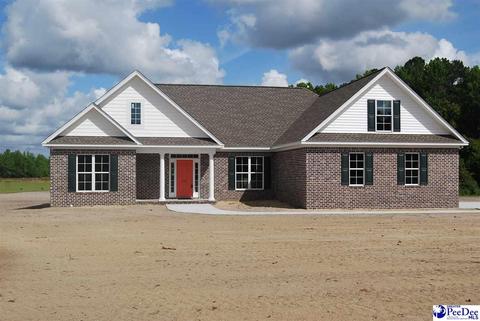 1089 Mclaughlin Rd, Effingham, SC 29541 photo 1