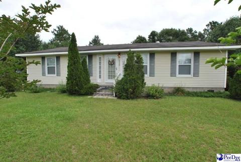 116 Marthas Loop, Kingstree, SC 29556 photo 1