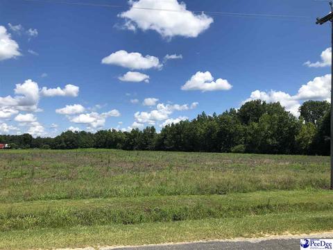 tbd Cato Rd, Effingham, SC 29541 photo 1