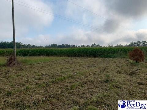 2041 Salem Rd, Florence, SC 29591 photo 1