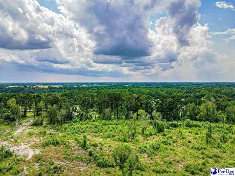 tbd Turnpike Rd, Darlington, SC 29532 photo 1