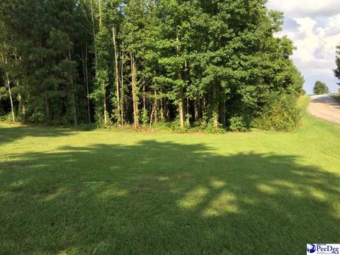 543 Wexford St, Ruby, SC 29741 photo 1