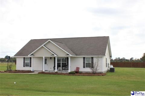 4860 W Paces Trl, Darlington, SC 29532 photo 1