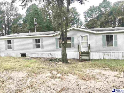 3323 Fieldcrest Dr, Florence, SC 29501 photo 1