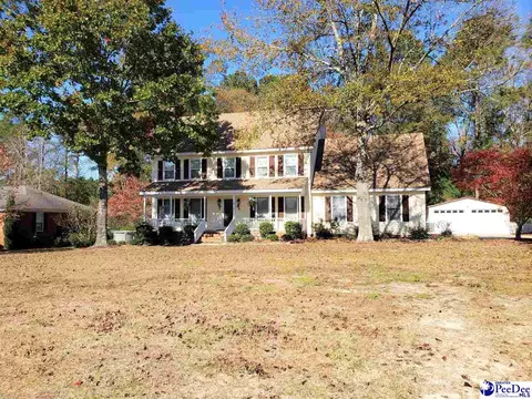 2353 Spring St, Hamer, SC 29547 photo 1