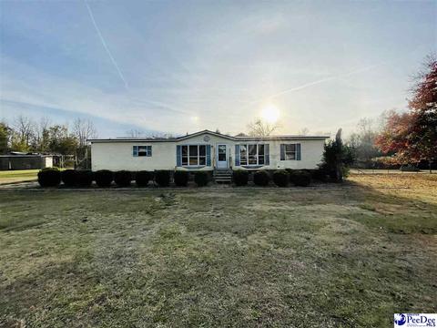 2709 Grey Fox Loop, Latta, SC 29565 photo 1