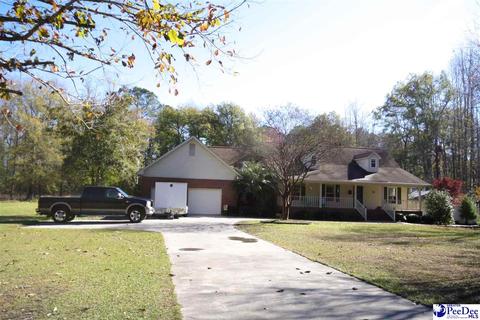 1102 Harvey Rd, Effingham, SC 29541 photo 1