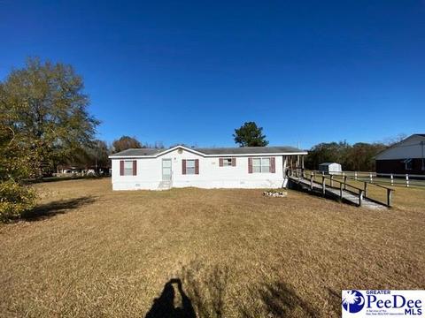 4668 Nesmith Rd, Nesmith, SC 29580 photo 1