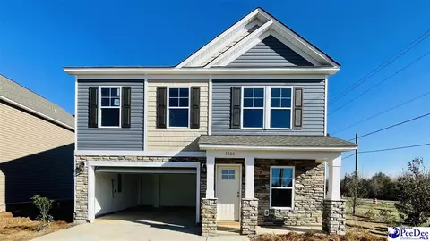 3000 Starling Dr, Effingham, SC 29541 photo 1