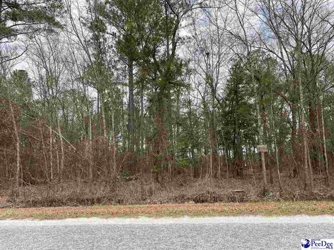 lot45 Club Dr, Lamar, SC 29069