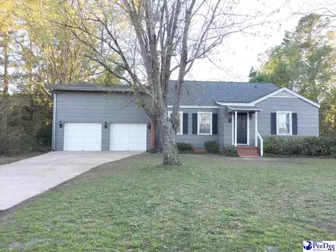 113 Patsy Ln, Cheraw, SC 29520 photo 1