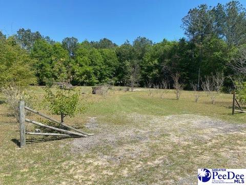 100 Marthas Loop, Kingstree, SC 29556 photo 1
