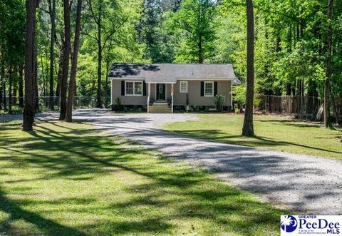 926 Roundtree Rd, Effingham, SC 29541 photo 1