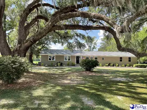 237 Roberts Rd, Georgetown, SC 29440 photo 1