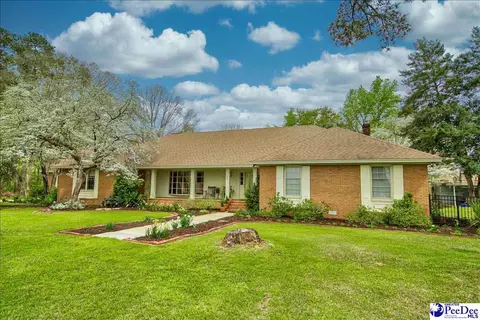 3002 Red Hawk Rd, Effingham, SC 29541 photo 1